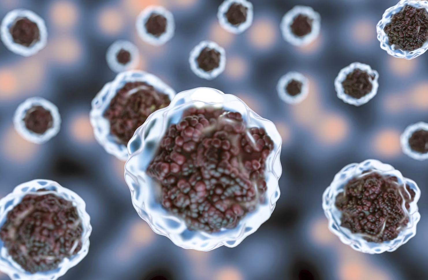 NUS scientists: Missing link between poor diet and increased cancer risk discovered